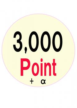 ݥ3,000P