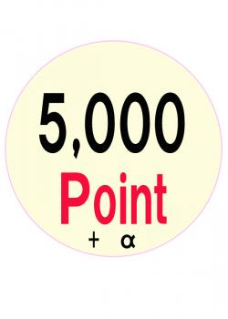 ݥ5,000P