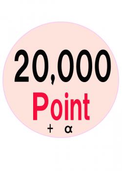 ݥ20,000P