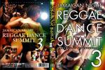 Jamaican Night REGGAE DANCE SUMMIT3 ޥʥ 쥲 ߥå3JMDV-083-DL